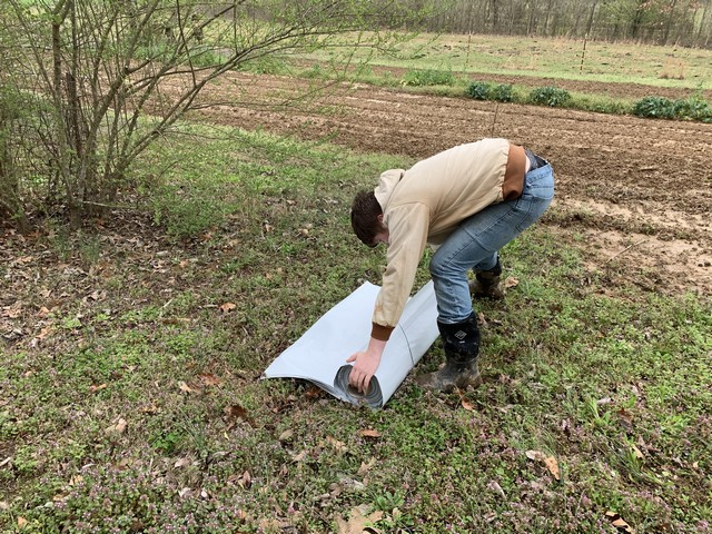 Rolling the tarp