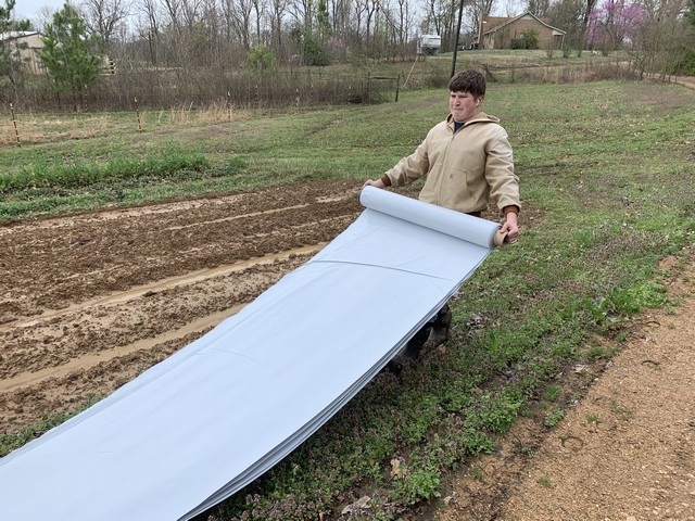 More unrolling the tarp